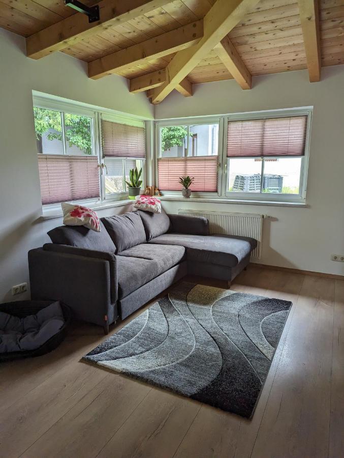 Ferienwohnung Trixi Hollersbach im Pinzgau Ngoại thất bức ảnh